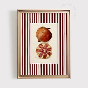 Pomegranate Fruit Print | Kitchen PRINTABLE Wall Art | Farmhouse Kitchen Print | Red Dining Room Decor | Vintage Minimalistic Art | #1428