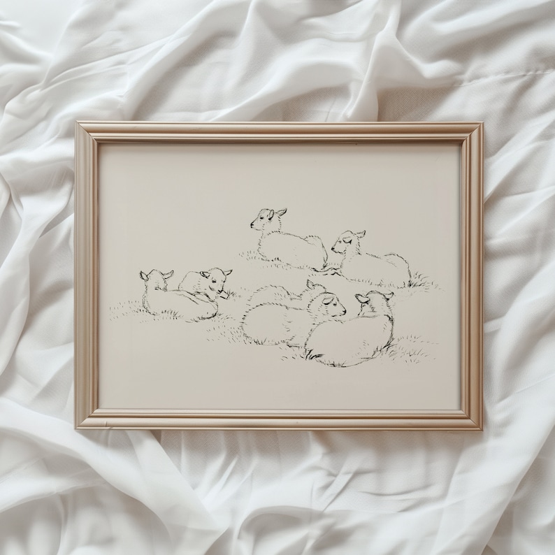 May include: A black and white line drawing of a group of sheep in a framed print. The sheep are all lying down in a field.