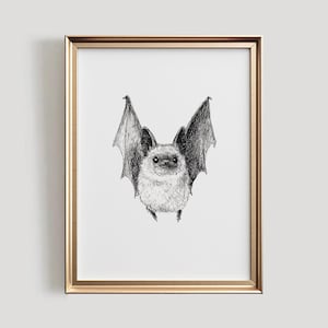 May include: A black and white line drawing of a bat with its wings spread out. The bat is drawn in a cartoon style and has a cute expression on its face.