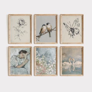 May include: Set of six framed vintage-style art prints. The prints feature botanical sketches, birds on a branch, a butterfly, a woman, floral arrangements, and swans. Each print is in a wooden frame, creating a cohesive gallery wall aesthetic.