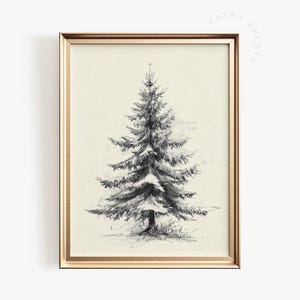 Puede incluir: Un boceto en blanco y negro enmarcado de un pino. La obra de arte presenta sombreado y textura detallados, con las agujas y ramas del árbol representadas en líneas finas. El marco es de color dorado y el fondo es de color beige claro.