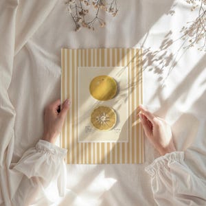 May include: A vintage botanical illustration of a halved and whole pomelo fruit on a yellow and white striped background.