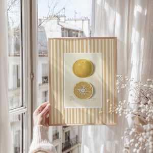 May include: A framed botanical illustration of a yellow grapefruit, with one whole fruit and one cut in half, on a yellow and white striped background.