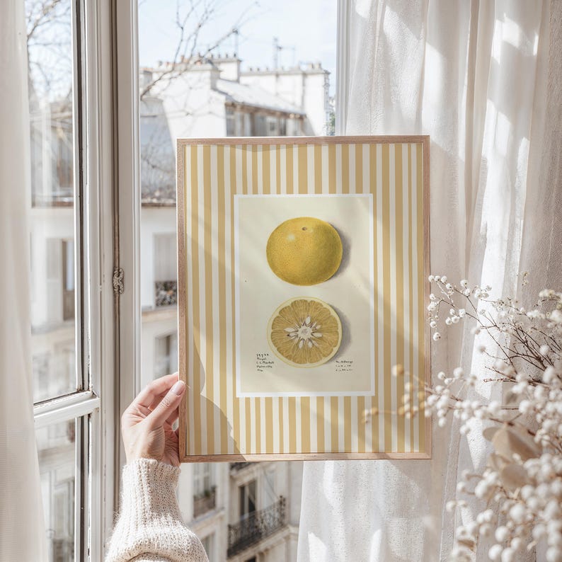 May include: A framed botanical illustration of a yellow grapefruit, with one whole fruit and one cut in half, on a yellow and white striped background.