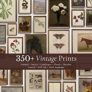 Può includere: Una collezione di stampe vintage incorniciate, tra cui illustrazioni botaniche, studi di animali e paesaggi. Le stampe sono esposte in varie dimensioni e stili, con uno striscione marrone in basso che recita "350+ Vintage Prints".