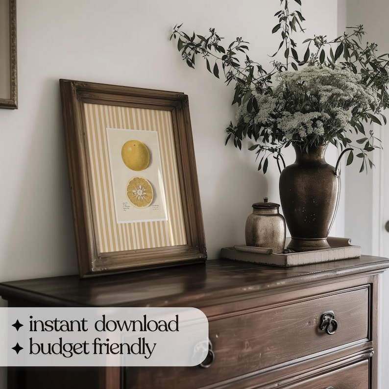 May include: A framed botanical illustration of a halved orange with a yellow background and white stripes. The frame is brown wood and is sitting on a dark brown wooden dresser with drawers.