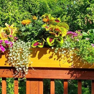 May include: A wooden planter box filled with a variety of colorful flowers and greenery. The planter is mounted on a wooden railing and is overflowing with plants.