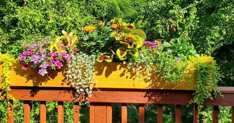 May include: A wooden planter box filled with a variety of colorful flowers and greenery. The planter is mounted on a wooden railing and is overflowing with plants.