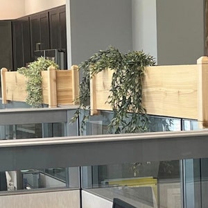 May include: Two wooden planter boxes with green plants hanging over the edge. The boxes are mounted on a wall and are made of natural wood.