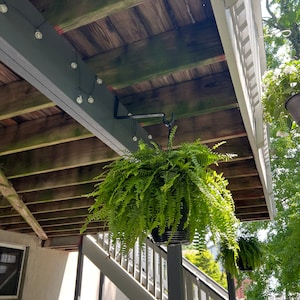 Op de afbeelding: Een groene varenplant hangt aan een zwarte metalen haak die is bevestigd aan een houten balk. De plant hangt onder een houten dek met witte leuningen.