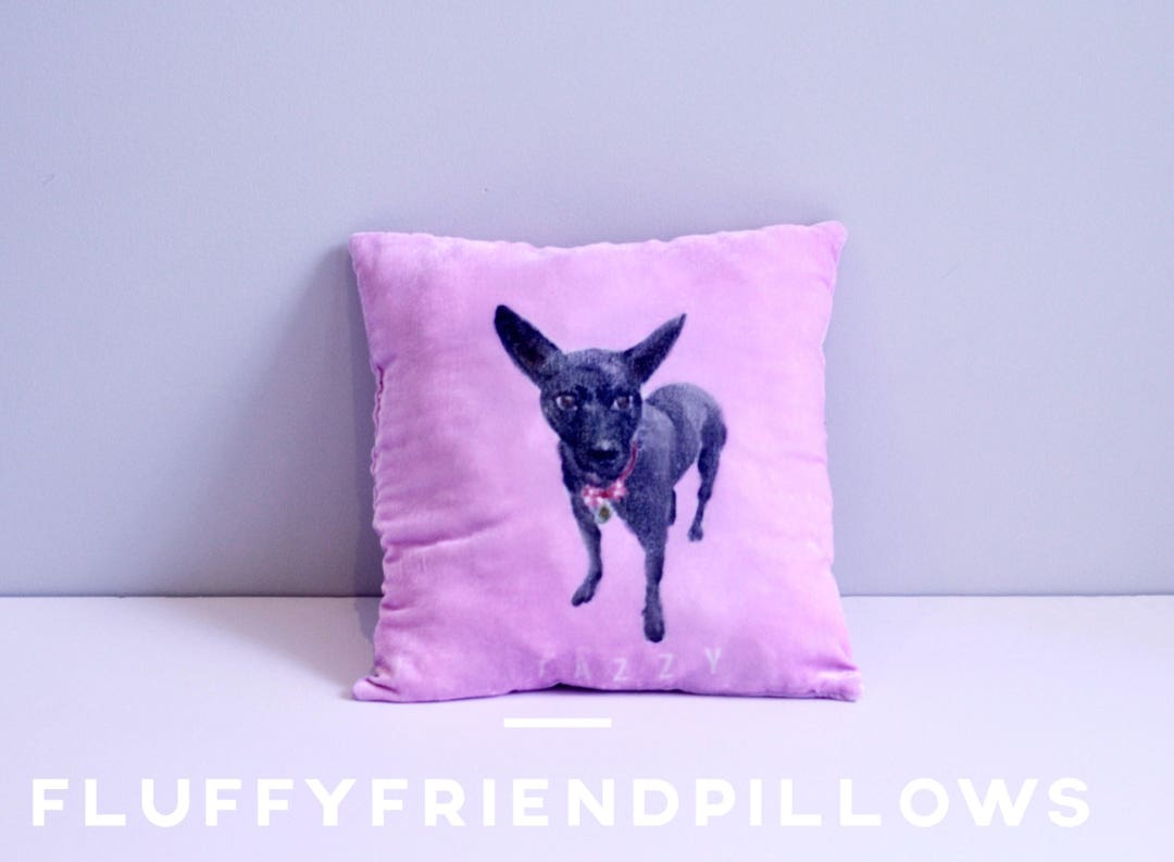 Made to Orderhand Painted 100 Silk Velvet Pet Portrait Pillow1515 Etsy