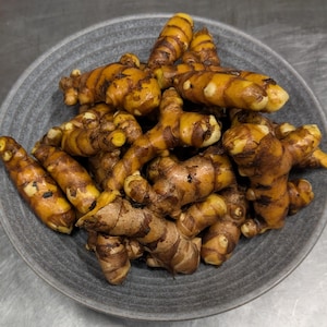 May include: A gray ceramic bowl filled with fresh turmeric roots. The turmeric is a vibrant orange-brown color, with a textured, knobby appearance. A black Sharpie marker is next to the bowl for size comparison. The bowl sits on a metallic surface.