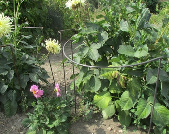 3 Tall Bow Plant Supports. Pack of 3.  Height 70cm length x 40cm width. Rusty 6mm metal. Handmade. Great for allotment. Ideal for peonies.