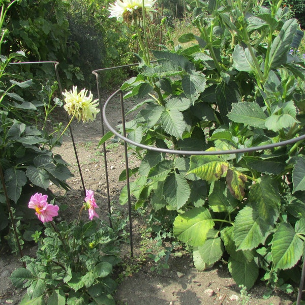 3 Tall Bow Plant Supports. Pack of 3.  Height 70cm length x 40cm width. Rusty 6mm metal. Handmade. Great for allotment. Ideal for peonies.