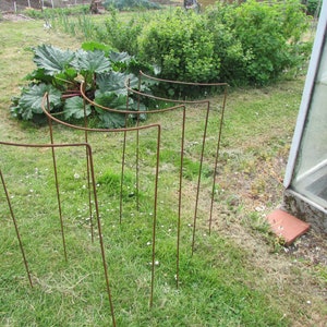 May include: A set of six rusty metal plant supports, each with a curved top, are arranged in a semi-circle on a grassy lawn.
