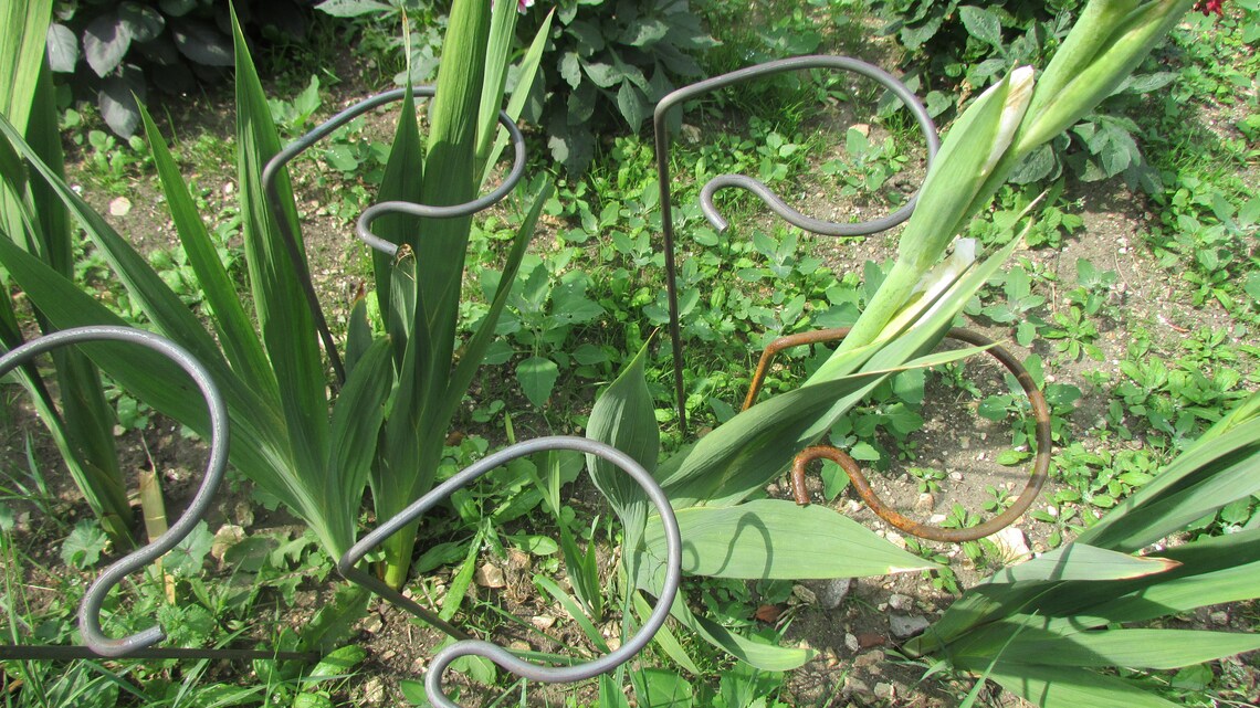10 Plant Support Single Plant Flower Stem Gardening Supports Natural ...