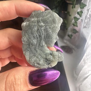 Labradorite Medusa Carving