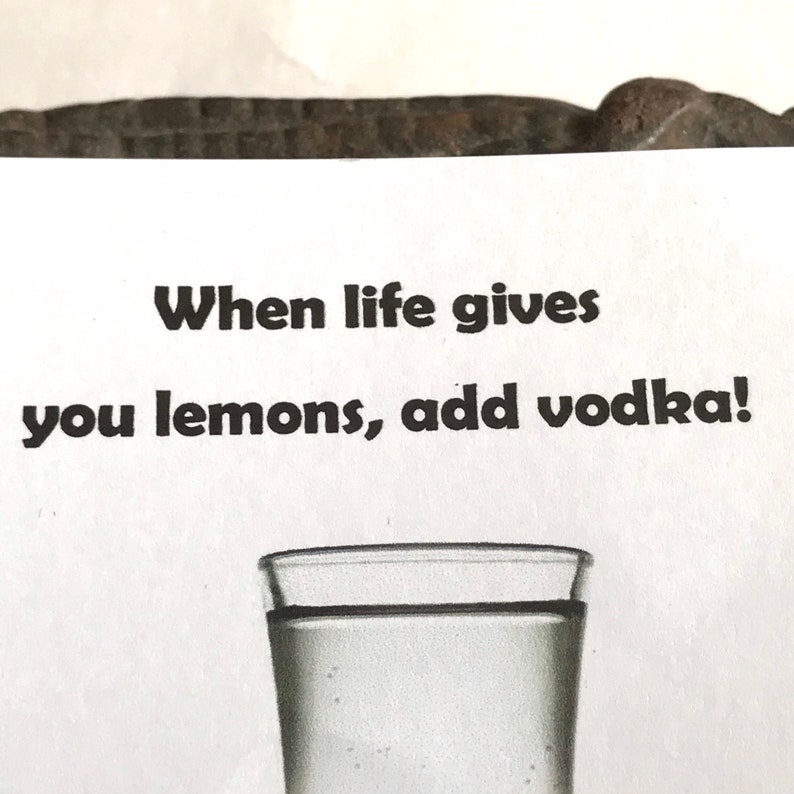 Alcohol Theme Wish Vodka Wish Bracelet Funny Wish Bracelet