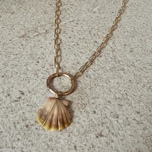 Op de afbeelding: Een goudkleurige ketting met een schelpenhanger. De hanger is een natuurlijke schelp met een crème- en gele kleurverloop. De ketting heeft een delicate schakelketting en de schelp is bevestigd aan een gouden ring.