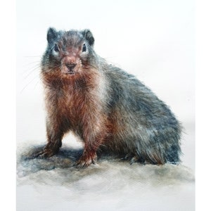 Peinture de marmotte, aquarelle de marmotte, peinture de marmotte, aquarelle originale, animal d'aquarelle, art d'aquarelle, décor à la maison, cadeau unique image 1