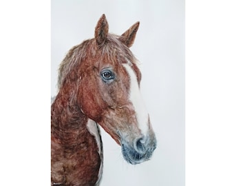 Horse Watercolor, Horse Painting, Original Watercolor, Horse Portrait, Original Painting, Watercolor Animal, Watercolor Art, Home Decor