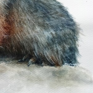 Peinture de marmotte, aquarelle de marmotte, peinture de marmotte, aquarelle originale, animal d'aquarelle, art d'aquarelle, décor à la maison, cadeau unique image 3