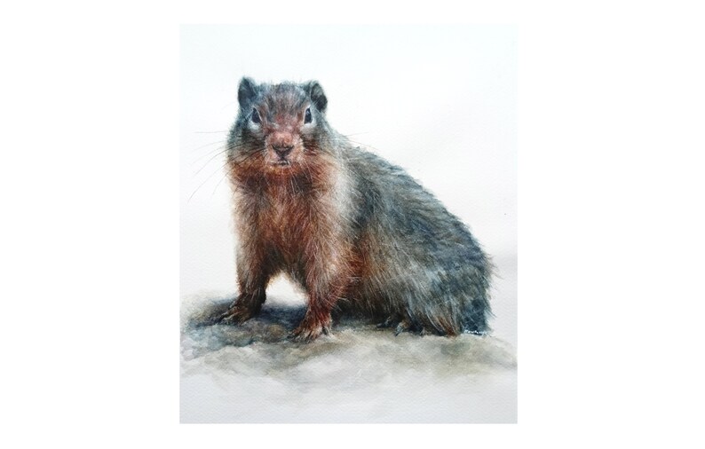 Peinture de marmotte, aquarelle de marmotte, peinture de marmotte, aquarelle originale, animal d'aquarelle, art d'aquarelle, décor à la maison, cadeau unique image 1