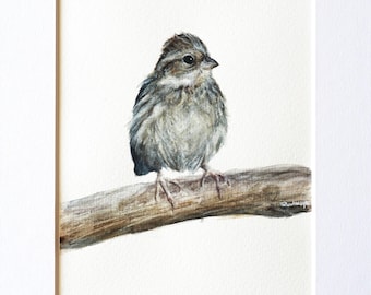 Original Watercolor, Watercolor Bird, Tiny Bird, Watercolor Painting, Original Bird, Watercolor Art, Original Art, Unique Art, Home Decor