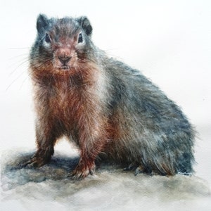 Peinture de marmotte, aquarelle de marmotte, peinture de marmotte, aquarelle originale, animal d'aquarelle, art d'aquarelle, décor à la maison, cadeau unique image 2