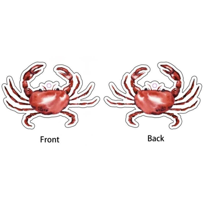 May include: A red crab with white outlines, shown from the front and back. The crab is a watercolor illustration.