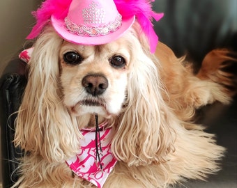 Roze cowboyhoed hond/kat/hondenkostuum/hondenhoed/Cowboyhoed roze kleur voor hond of kat/hondkostuum/