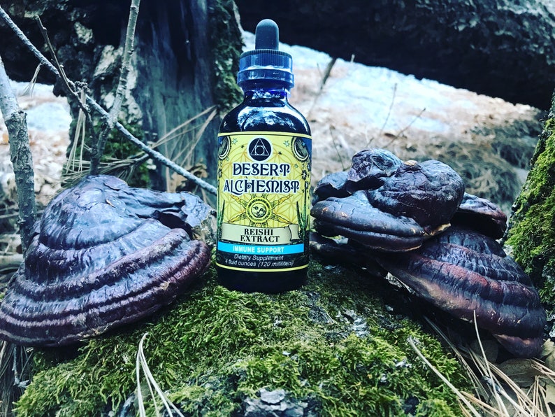 Reishi Mushroom Double Extract. Etsy