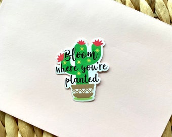Bloom Where You Are Planted Cactus Sticker, Laptop Sticker, Computer Sticker, Plant Lover Gift, Plant Gift, Bloom Sticker, Water Proof