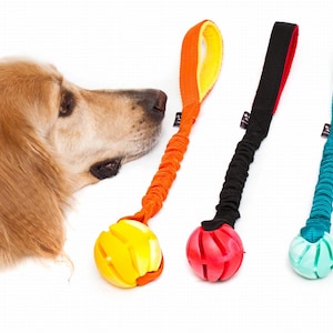 Sirius / Bungee Tug Toy / Giocattoli per cani / Addestramento cani / Palla giocattolo / Giocattolo colorato / Manico flessibile / Palla di gomma / Apport / Bungee Ball