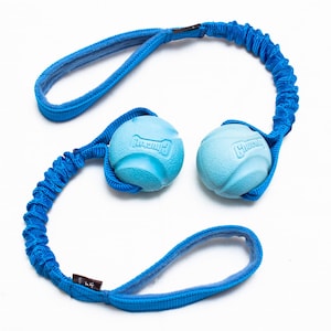 Bungee Tug Hundespielzeug: Chuckit Ball, Flexibler Griff, Hundetraining