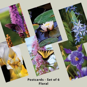 Foto Grußkarten (6er Set), Farbfotografie, Floral, Druck, Outdoor, Natur, Schmetterlinge