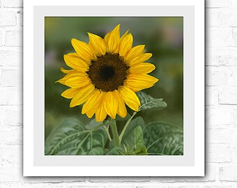 Framed Sunflower Print - Sunflower Wall Decor, Botanical Wall Art, Framed Floral Print, Botanical Art, Hyper-realistic Art, Modern decor