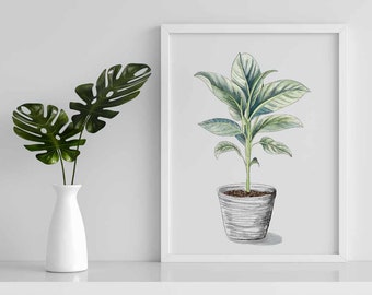 Botanical Wall Art - Ficus Plant Wall Art for Plant Lover, Botanical Poster, Boho House Plant Art, Dorm Art Decor