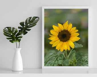 Digital Painting Sunflower Fine Art Print Bridal Gift Gift for HerSunflower Wall Art Botanical Art Sunflower Home Decor Botanical Print