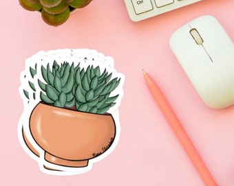 Potted Plant Sticker - Potted Plant, Succulent Sticker, Laptop Sticker, Collectible sticker, Water Bottle Stickers, Plant Decal, Plant Lover