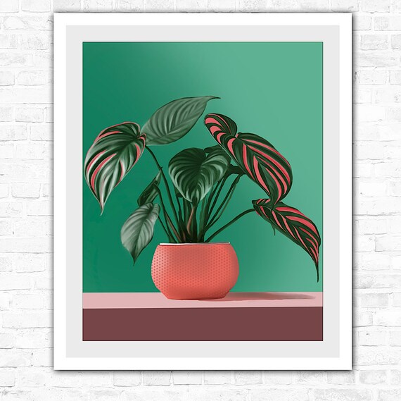 Framed Hyper-realistic Plant Drawing Print - Botanical Art Print