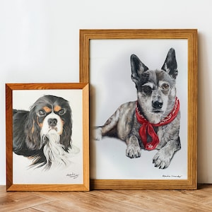 Handcrafted Colored Pencil Pet Portrait - Personalized Gift for Pet Lovers - Custom Pet Portrait - Custom Dog Portrait - Custom Cat Drawing