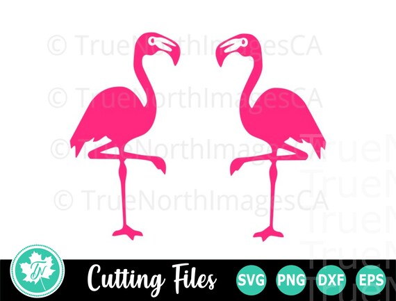 Download Flamingo Party Dxf Clipart Eps Summer Svg Png Birthday Svg Files Flamingo Shirt Flamingo Svg Flamingo Squad Svg Girls Vacation Clip Art Art Collectibles