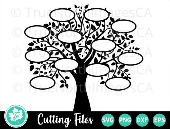 Family Tree Svg Tree Svg Family Svg Family Tree Clipart Etsy