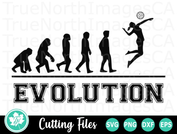 Volleyball Svg Volleyball Clipart Volleyball Vector Etsy