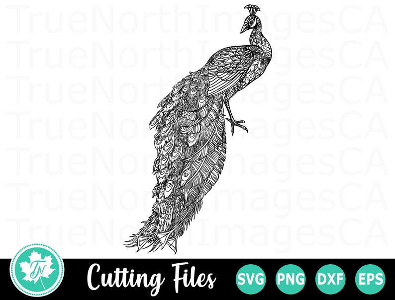 Free Free Mandala Peacock Svg 411 SVG PNG EPS DXF File
