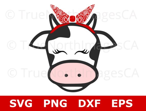 Free Free 119 Baby Cow Face Svg Free SVG PNG EPS DXF File