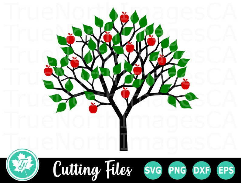 Download Apple Tree SVG / Tree SVG / Tree Clipart / Tree Clip art ...