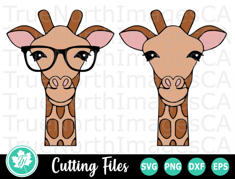 Download Zoo Animal Svg Giraffe Silhouette Svg File Dxf Vector Clip Art Giraffe Cut File Giraffe Svg Giraffe Clipart Clip Art Art Collectibles Jesuskidsng Org