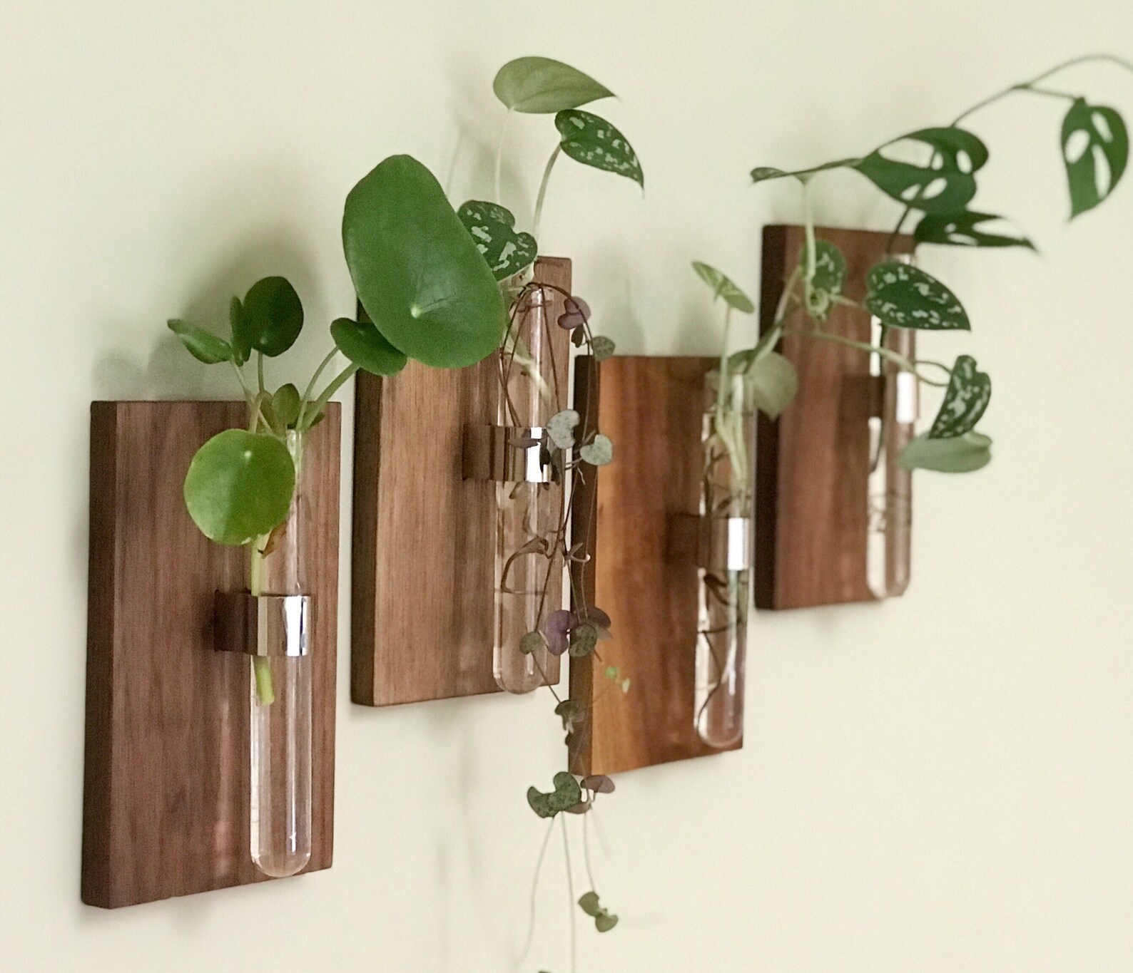 Modern Wall Mount Bud Vase / Glass Vase / Wooden Wall Hanging Etsy